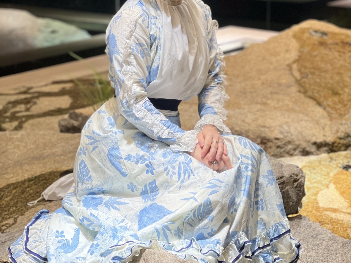 A dress inspired by Empress&nbsp;Elisabeth